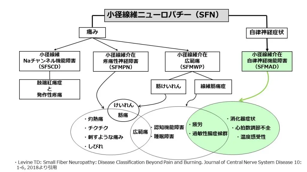不安障害 ダンJスタイン エリックホランダー 不安抑うつ臨床研究会 日本評論社 BRAIN and NERVE 2024年 1月号 特集 新時代の重症筋無力症と関連